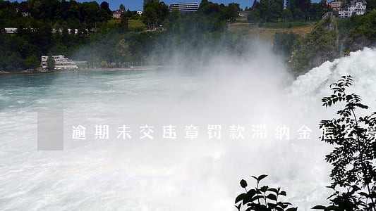 逾期未交违章罚款滞纳金怎么算 逾期未交违章罚款滞纳金怎么算