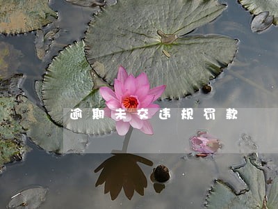 逾期未交违规罚款 逾期未交违规罚款