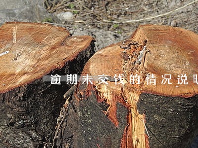 逾期未交钱的情况说明 逾期未交钱的情况说明