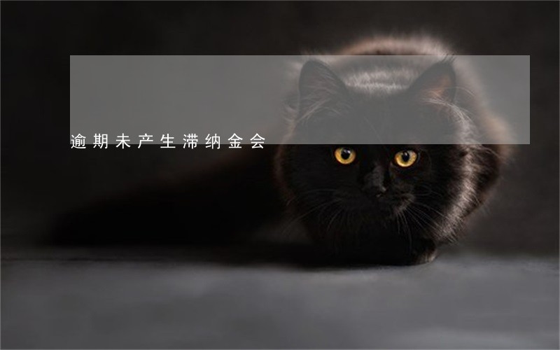 逾期未产生滞纳金会 逾期未产生滞纳金会