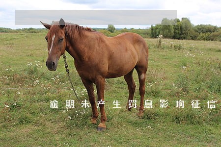 逾期未产生罚息影响征信吗 逾期未产生罚息影响征信吗