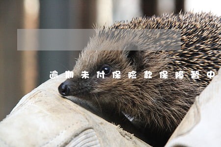 逾期未付保险款保障暂中止 逾期未付保险款保障暂中止