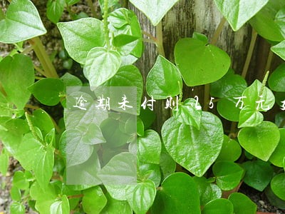 逾期未付则以5万元支付协议 逾期未付则以5万元支付协议