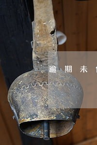 逾期未付加收违约金 逾期未付加收违约金