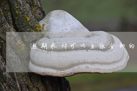 逾期未付可以主张全部的法律规定 逾期未付可以主张全部的法律规定