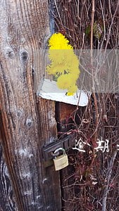 逾期未付合同终止是什么意思 逾期未付合同终止是什么意思