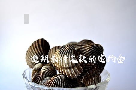 逾期未付尾款的违约金 逾期未付尾款的违约金