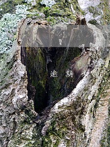 逾期未付房租交多少违约金 逾期未付房租交多少违约金