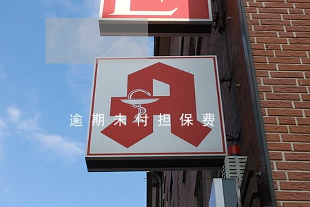 逾期未付担保费