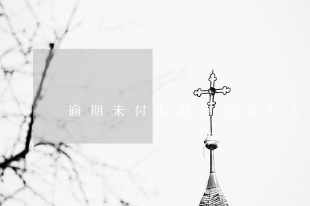 逾期未付收取滞纳金怎么写 逾期未付收取滞纳金怎么写