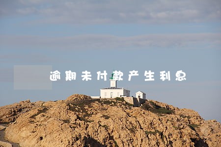 逾期未付款产生利息 逾期未付款产生利息