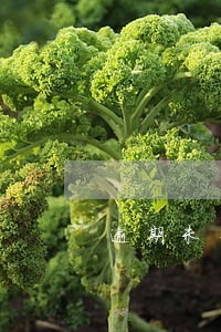 逾期未付款产生的利息 逾期未付款产生的利息