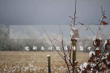 逾期未付款保障暂中止 逾期未付款保障暂中止