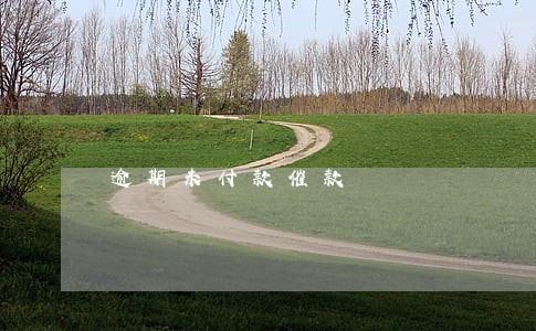 逾期未付款催款 逾期未付款催款
