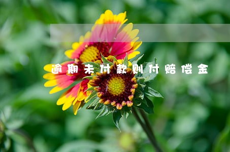 逾期未付款则付赔偿金