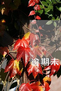 逾期未付款利息按LPR 逾期未付款利息按LPR