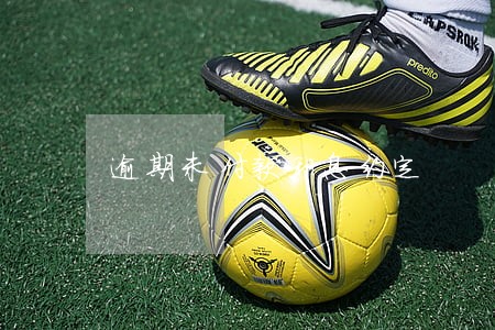 逾期未付款利息约定 逾期未付款利息约定