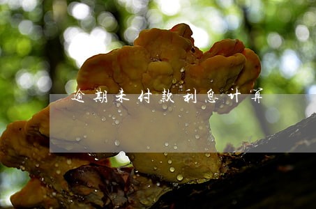 逾期未付款利息计算