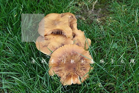 逾期未付款利息账务处理 逾期未付款利息账务处理