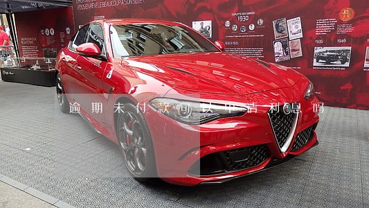 逾期未付款可以申请利息吗 逾期未付款可以申请利息吗