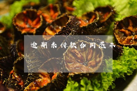 逾期未付款合同范本 逾期未付款合同范本