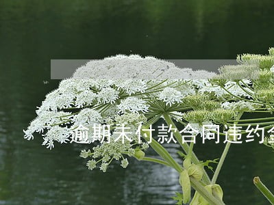 逾期未付款合同违约金 逾期未付款合同违约金