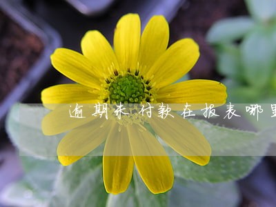 逾期未付款在报表哪里看 逾期未付款在报表哪里看