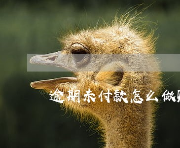 逾期未付款怎么做账 逾期未付款怎么做账
