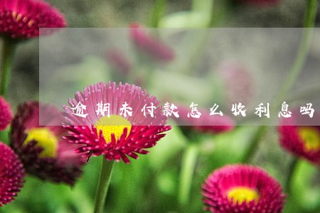 逾期未付款怎么收利息吗
