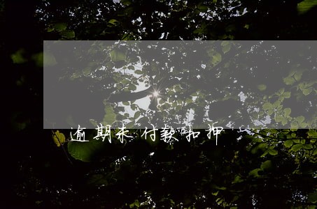逾期未付款扣押 逾期未付款扣押