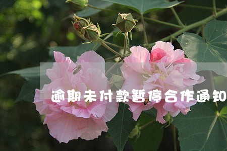 逾期未付款暂停合作通知书 逾期未付款暂停合作通知书