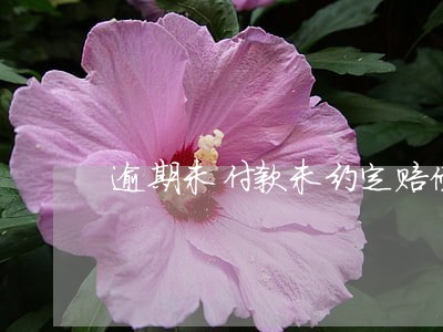 逾期未付款未约定赔偿