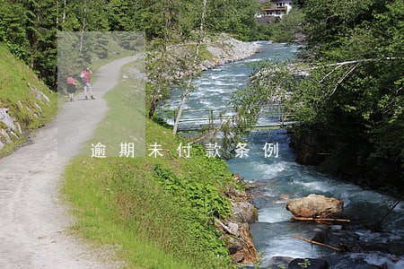 逾期未付款条例