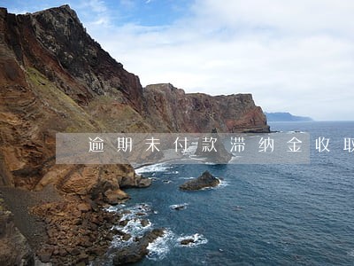 逾期未付款滞纳金收取标准 逾期未付款滞纳金收取标准
