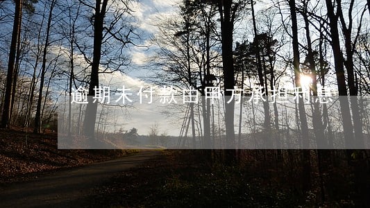 逾期未付款由甲方承担利息 逾期未付款由甲方承担利息