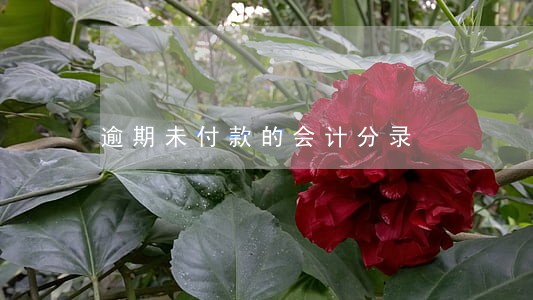 逾期未付款的会计分录 逾期未付款的会计分录