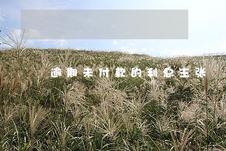 逾期未付款的利息主张 逾期未付款的利息主张