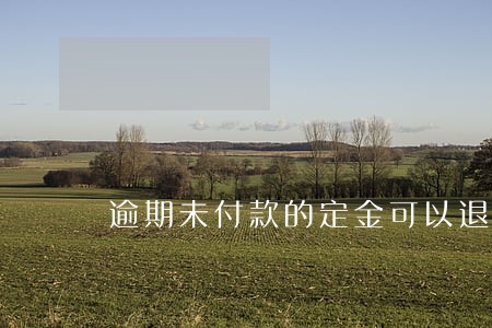 逾期未付款的定金可以退吗 逾期未付款的定金可以退吗