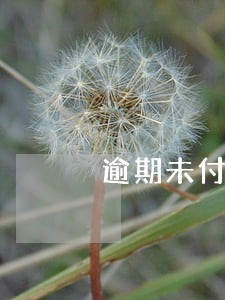 逾期未付款的约定 逾期未付款的约定