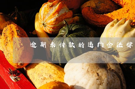 逾期未付款的违约金法律规定 逾期未付款的违约金法律规定