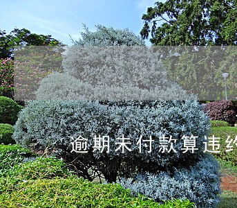 逾期未付款算违约吗 逾期未付款算违约吗
