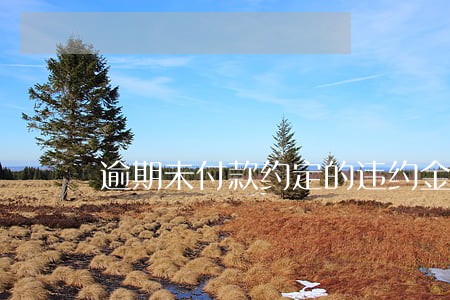 逾期未付款约定的违约金过低 逾期未付款约定的违约金过低