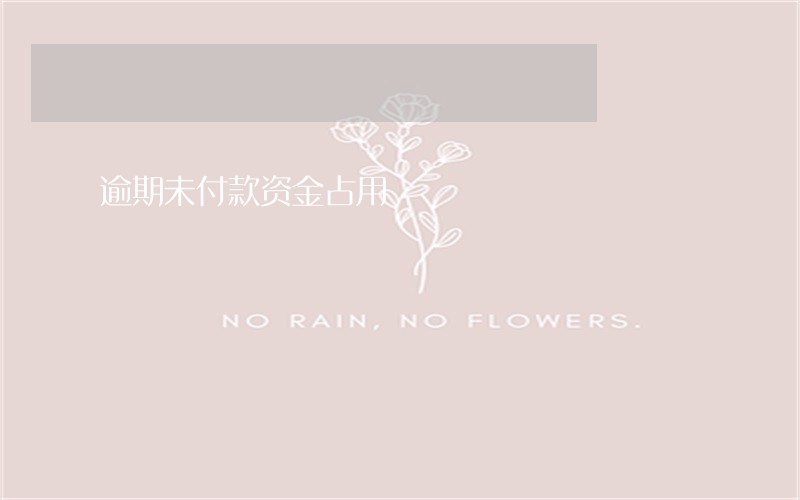 逾期未付款资金占用 逾期未付款资金占用