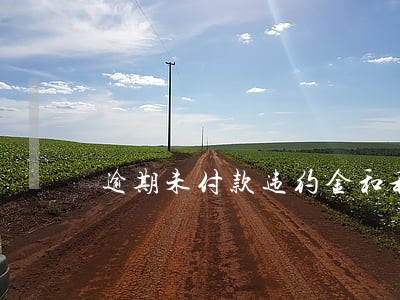 逾期未付款违约金和利息 逾期未付款违约金和利息