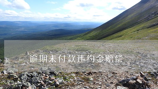 逾期未付款违约金赔偿 逾期未付款违约金赔偿