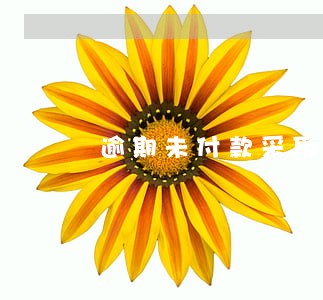 逾期未付款采取法律措施 逾期未付款采取法律措施