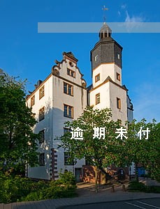 逾期未付款项数额 逾期未付款项数额