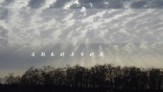 逾期未付清首付款 逾期未付清首付款