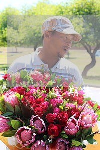 逾期未付甲方可解除合同 逾期未付甲方可解除合同
