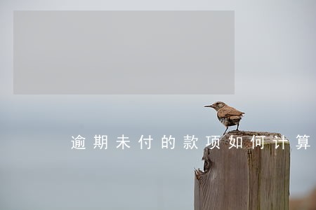 逾期未付的款项如何计算 逾期未付的款项如何计算
